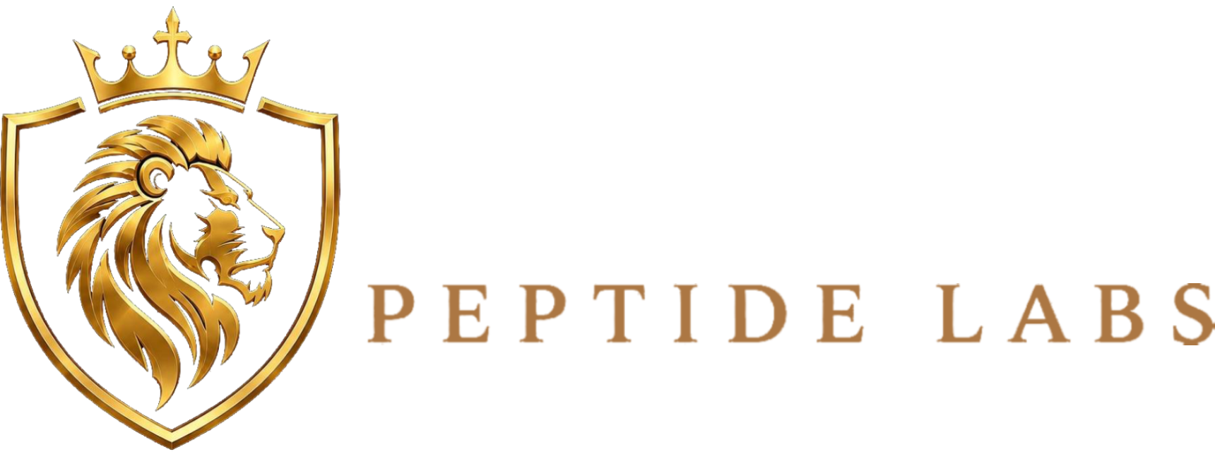 logo2